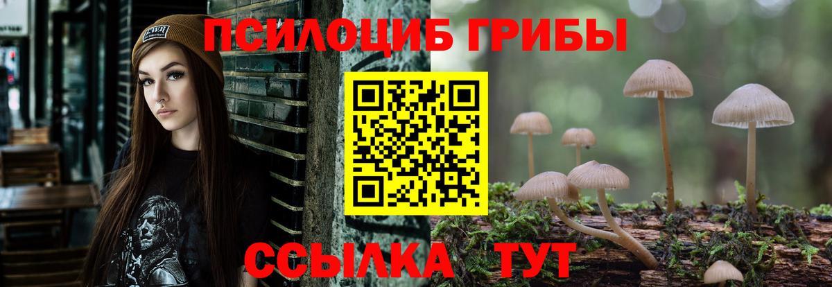 Псилоцибиновые грибы прущие грибы  купить  цена  Костомукша  Вход с VPN  Галлюциногенные грибы MAGIC MUSHROOMS 