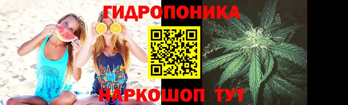Костомукша  Канабис AK-47  Канабис конопля  Канабис VHQ  Бошки марихуана LSD WEED  Вход с VPN 